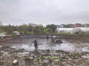 尖山河道鱼塘清淤